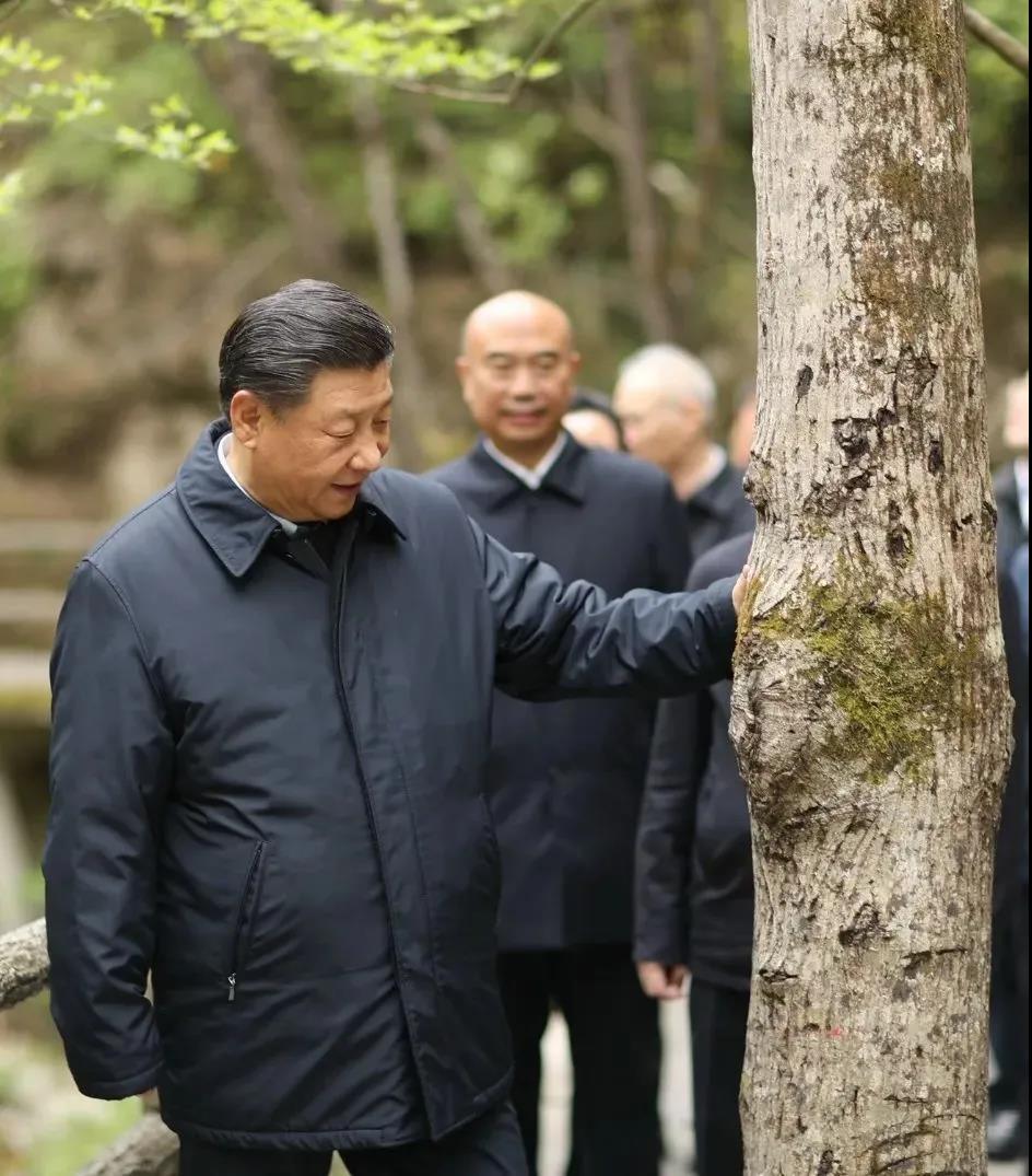湖南k8凯发节能环保科技有限公司,湖南土壤污染修复,污水处理工程,农业污染治理,环保工程 湖南k8凯发节能环保科技有限公司,湖南土壤污染修复,污水处理工程,农业污染治理,环保工程