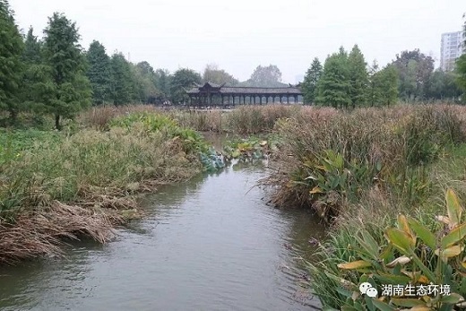 湖南k8凯发节能环保科技有限公司,湖南土壤污染修复,污水处理工程,农业污染治理,环保工程 湖南k8凯发节能环保科技有限公司,湖南土壤污染修复,污水处理工程,农业污染治理,环保工程